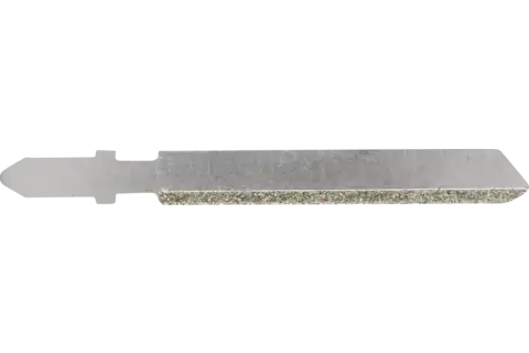 15600571