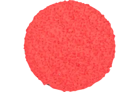 42776502 2